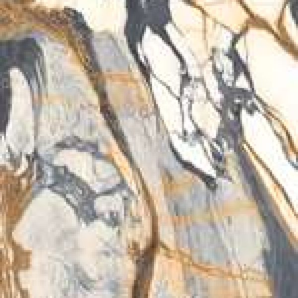 ColorGate PS#: CCC4D3C8D29FCCD4CDD29FC3D1D29FB0