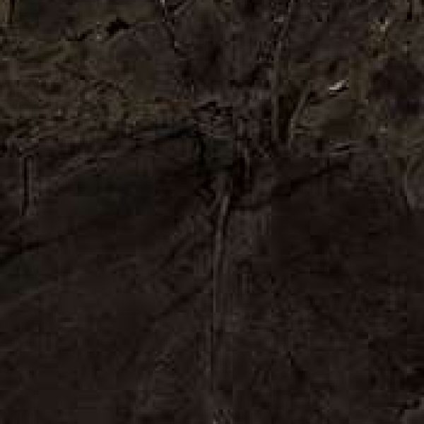 INF20BR6201220LP.jpg