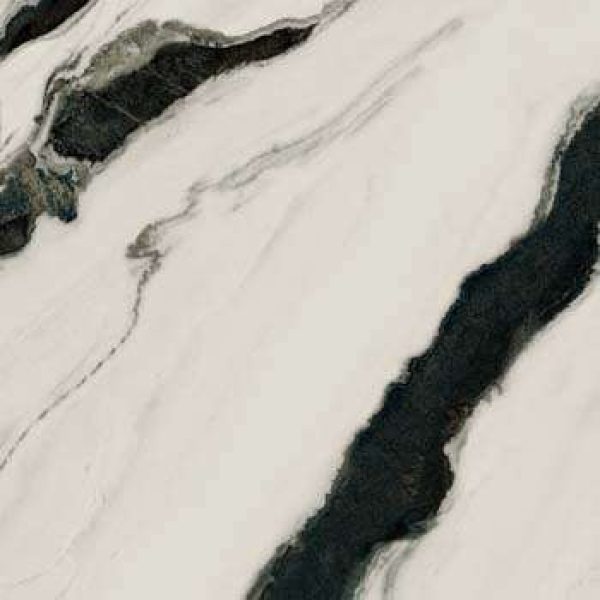 PAN20WH62012020LP.jpg